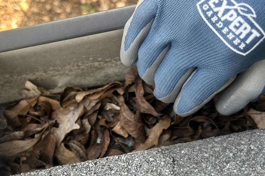 Gutter Cleaning Ravenel