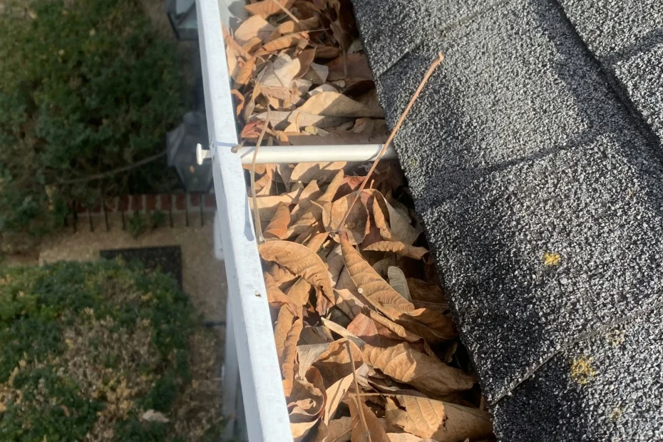 Gutter Cleaning Ravenel