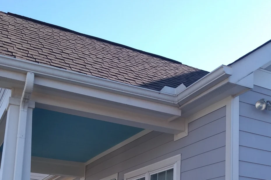 Gutter Cleaning Ravenel