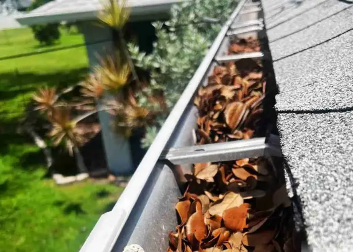 Gutter Cleaning Ravenel home page